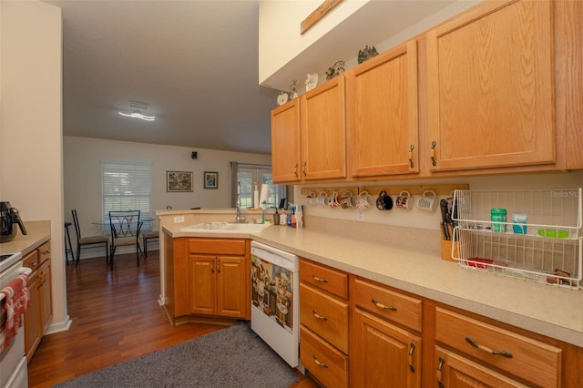 kitchen featuring dark hardwood / wood-style floors, dishwasher, sink, kitchen peninsula, and stove