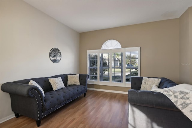 7720 Rathdown Ln, Wesley Chapel, FL 33545 - living area with wood finished floors and baseboards