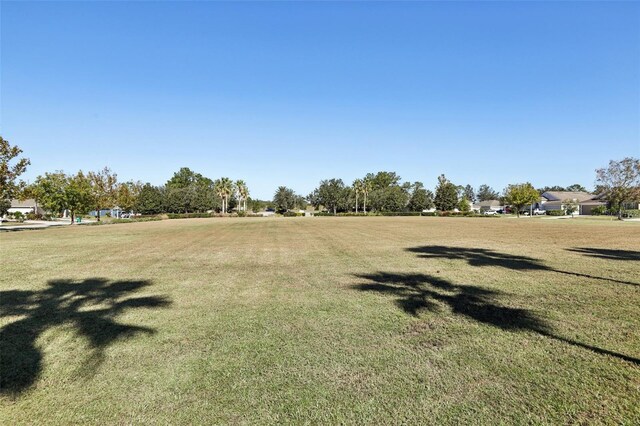 7720 Rathdown Ln, Wesley Chapel, FL 33545 - view of green lawn