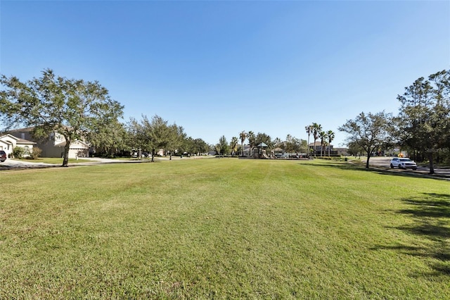 7720 Rathdown Ln, Wesley Chapel, FL 33545 - surrounding community featuring a lawn