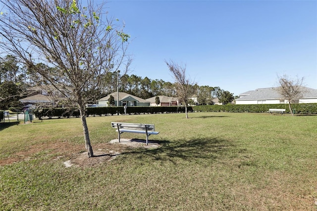 7720 Rathdown Ln, Wesley Chapel, FL 33545 - view of grassy yard