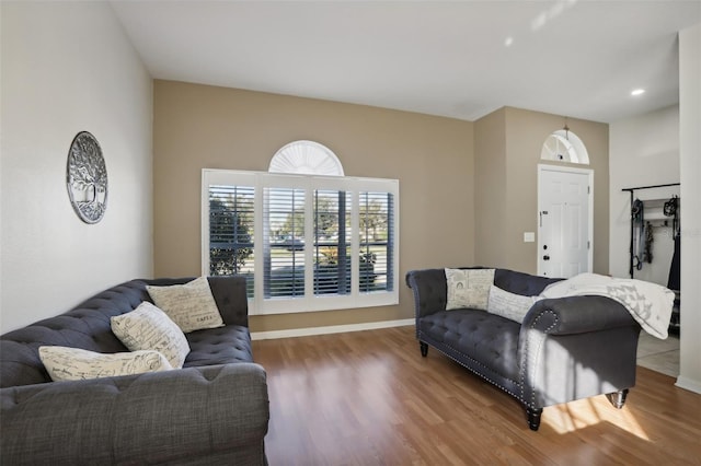 7720 Rathdown Ln, Wesley Chapel, FL 33545 - living room featuring wood finished floors and baseboards