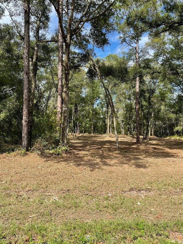 10634 N Mataro Ave, Citrus Springs FL, 34434 land for sale