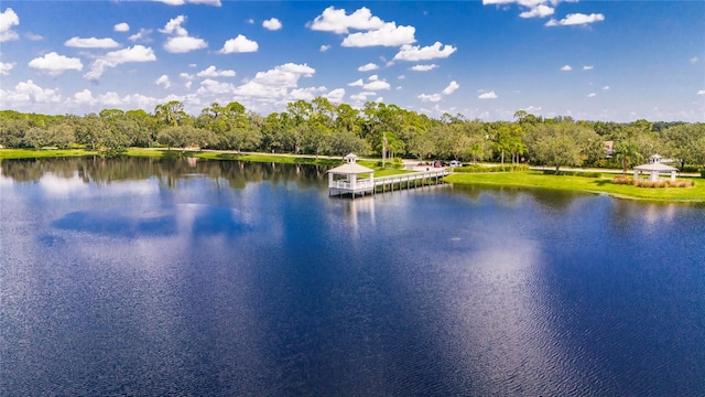 property view of water