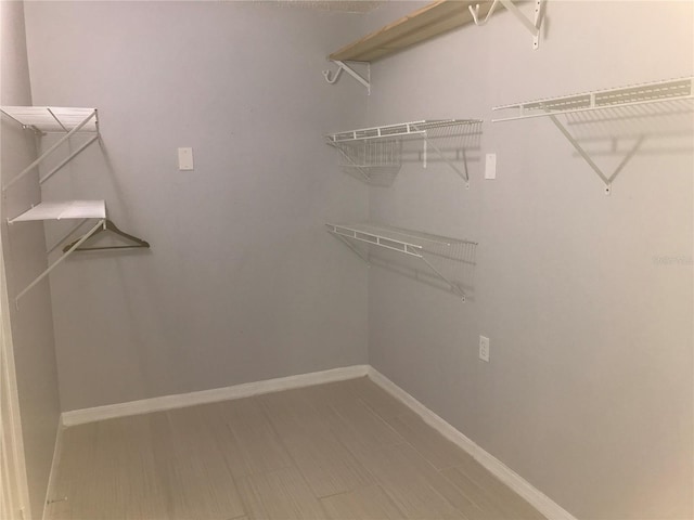 10425 La Mirage Ct Unit 202, Tampa, FL 33615 - photo 13