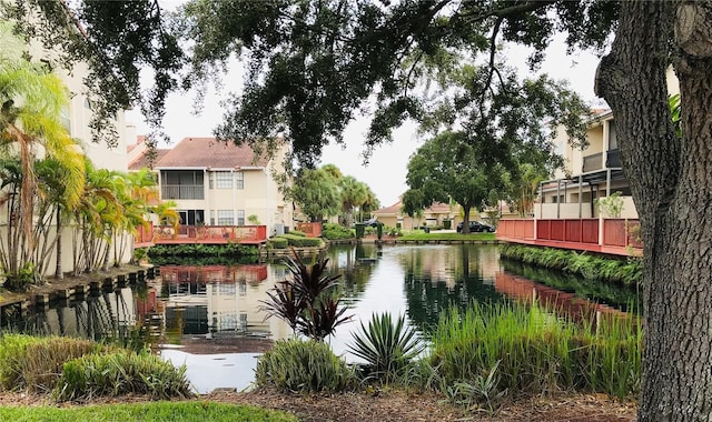 10425 La Mirage Ct Unit 202, Tampa, FL 33615 - photo 40