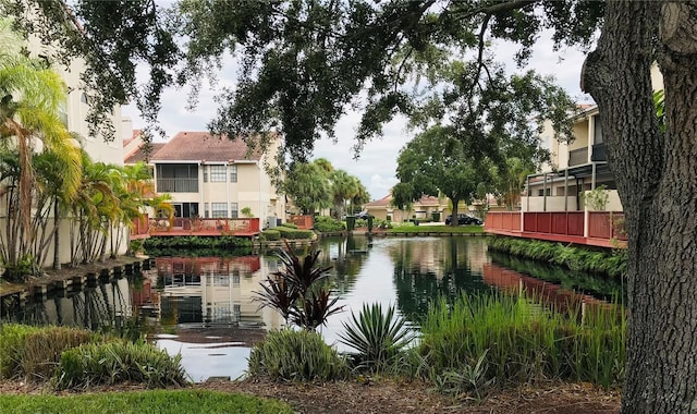 10425 La Mirage Ct Unit 202, Tampa, FL 33615 - photo 41
