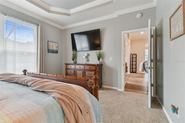 carpeted bedroom featuring a tray ceiling, multiple windows, and ornamental molding