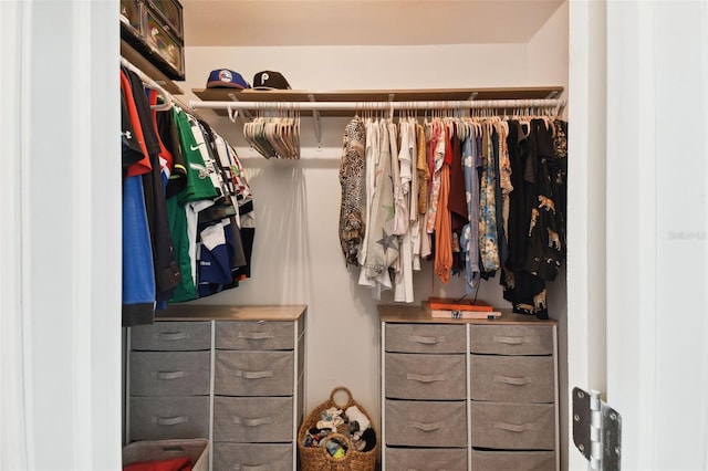 view of spacious closet