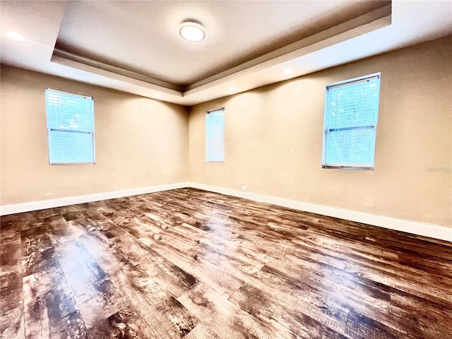 unfurnished room with hardwood / wood-style floors, plenty of natural light, and a tray ceiling