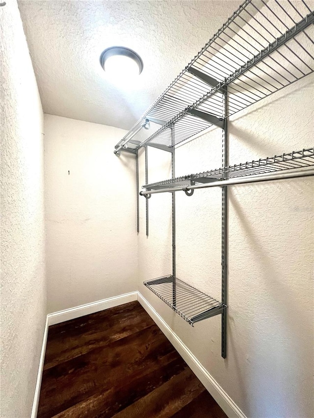 spacious closet with hardwood / wood-style flooring