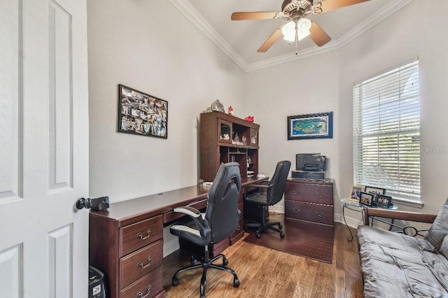 home office with crown molding, ceiling fan, and light wood-type flooring