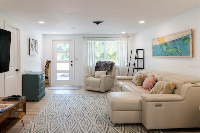 living room featuring hardwood / wood-style flooring