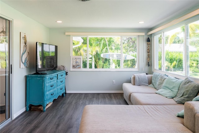 living room featuring a wealth of natural light and dark hardwood / wood-style flooring