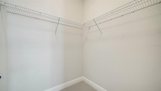 view of walk in closet