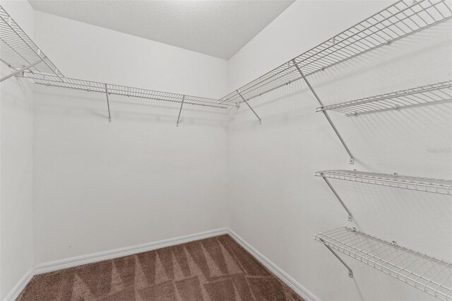 spacious closet with carpet