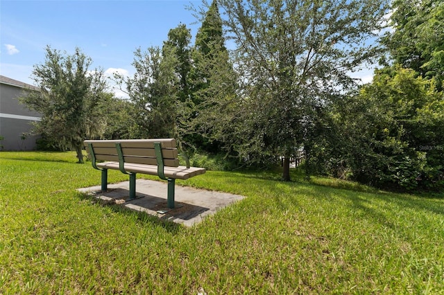 view of home's community with a yard