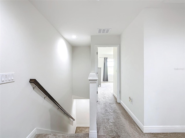 hallway featuring carpet floors