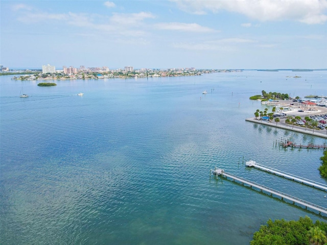 water view featuring a dock