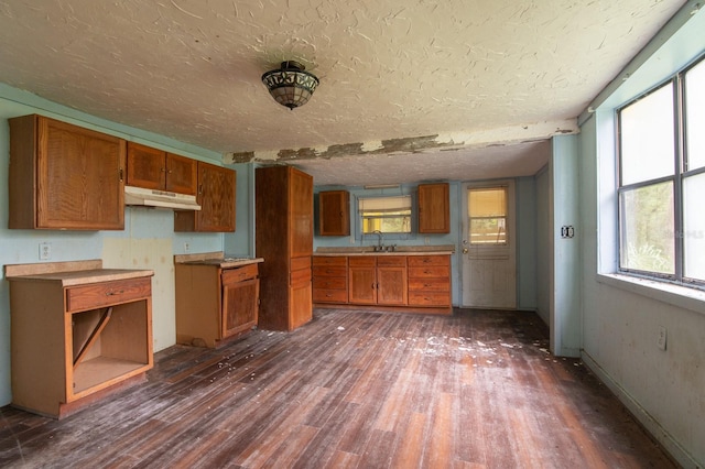 kitchen with a textured ceiling, sink, and dark hardwood / wood-style floors