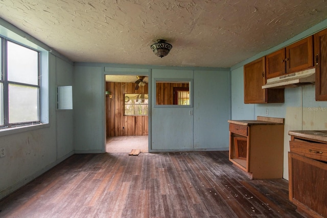 kitchen featuring a wealth of natural light, dark wood-type flooring, ceiling fan, and a textured ceiling