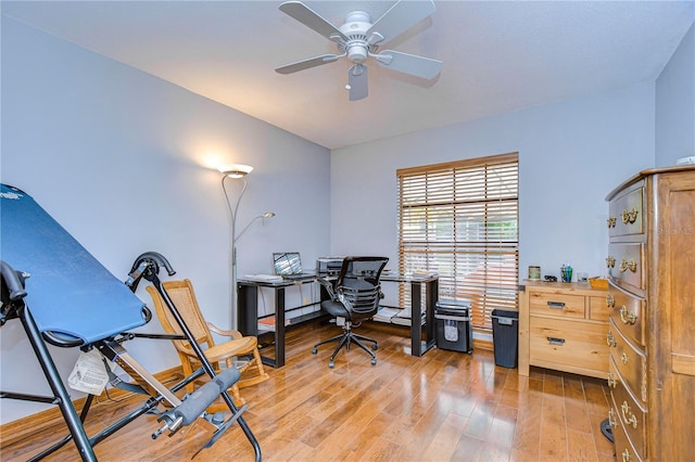 office area with ceiling fan and light hardwood / wood-style flooring