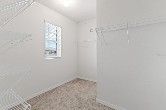 spacious closet featuring light colored carpet