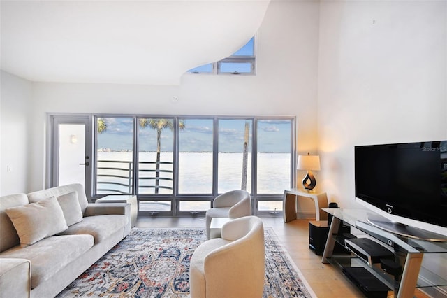 living room featuring light wood-type flooring and a healthy amount of sunlight