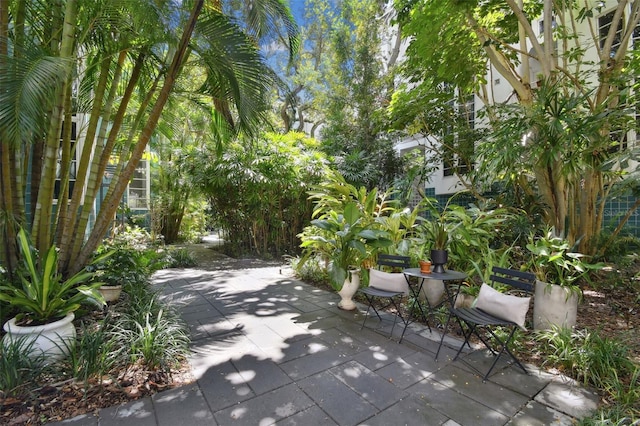 view of community with a patio area