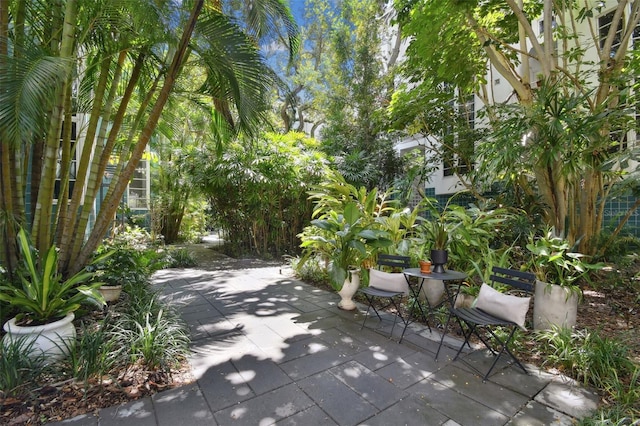4950 Bayshore Blvd Unit 23, Tampa, FL 33611 - photo 8