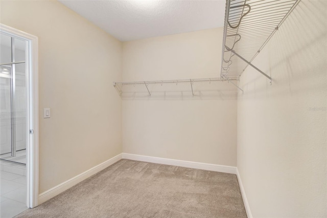 walk in closet featuring carpet flooring