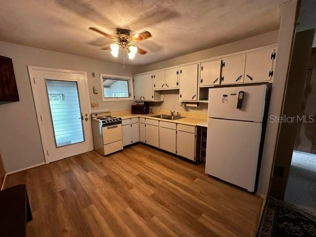 kitchen featuring ceiling fan, light hardwood / wood-style floors, white fridge, sink, and range with gas stovetop