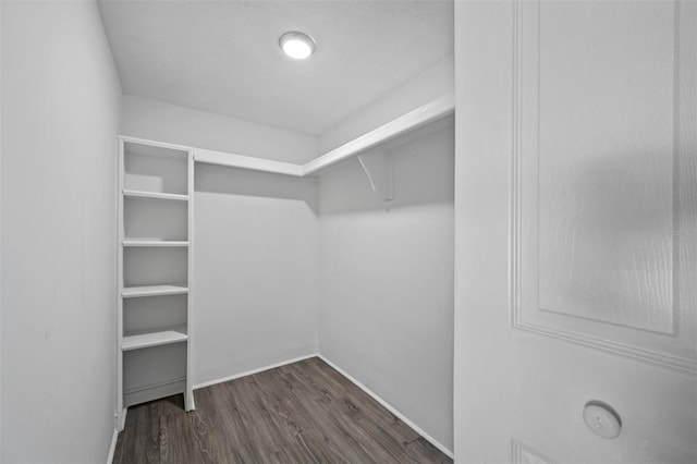 spacious closet with wood finished floors