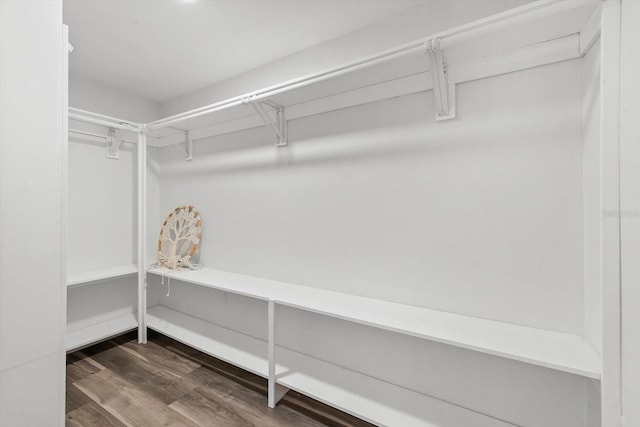 walk in closet with hardwood / wood-style flooring