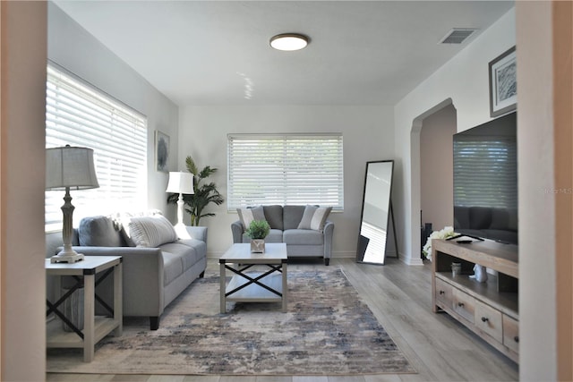 living room with a wealth of natural light and light hardwood / wood-style flooring