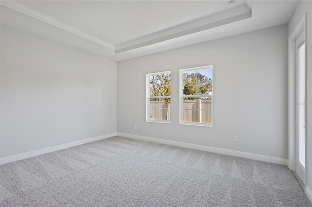 carpeted spare room featuring crown molding and a tray ceiling