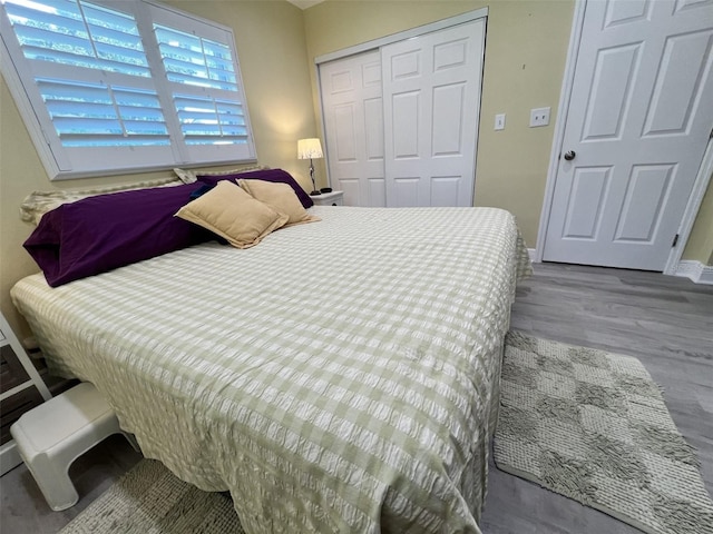 bedroom featuring a closet and wood-type flooring