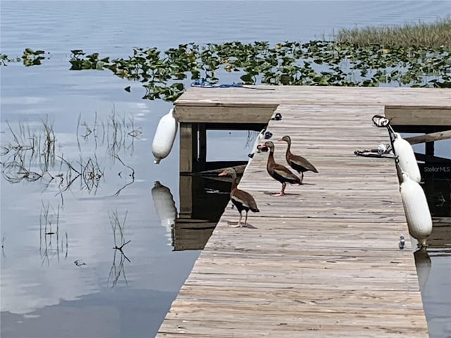 view of dock