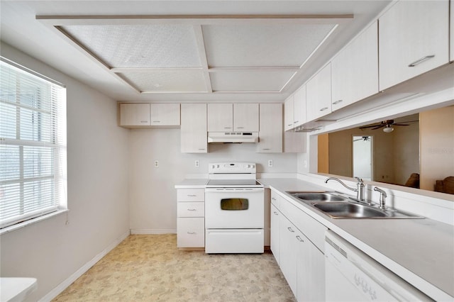 kitchen with white appliances, a healthy amount of sunlight, sink, and ceiling fan