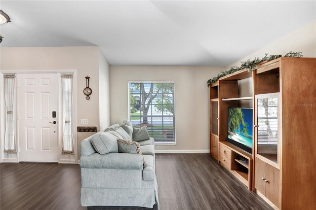 living room featuring dark wood-type flooring