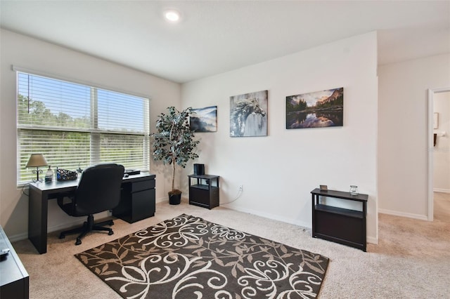 office with baseboards and carpet