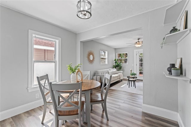 dining area featuring ceiling fan with notable chandelier and hardwood / wood-style floors