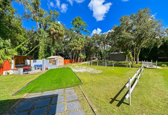 view of yard with a patio and a storage shed