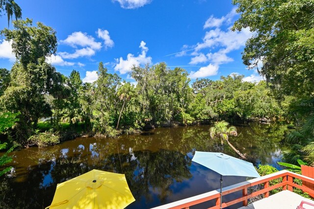 property view of water