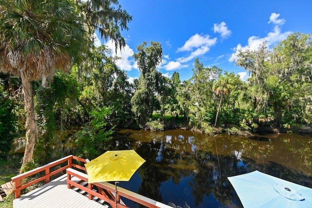 dock area with a water view