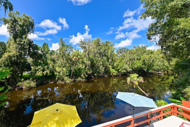 4617 John Moore Rd, Brandon, FL 33511 - dock area featuring a water view