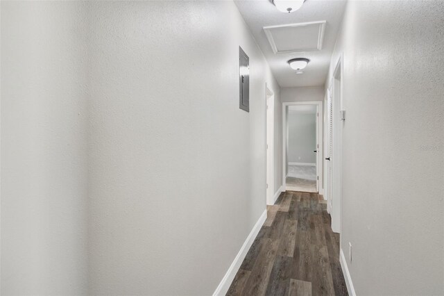 corridor with dark hardwood / wood-style flooring and electric panel