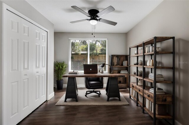 office featuring dark hardwood / wood-style flooring and ceiling fan