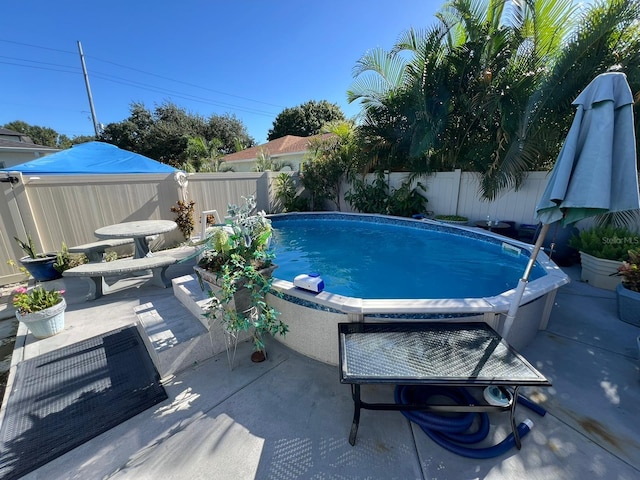 view of swimming pool featuring a patio area