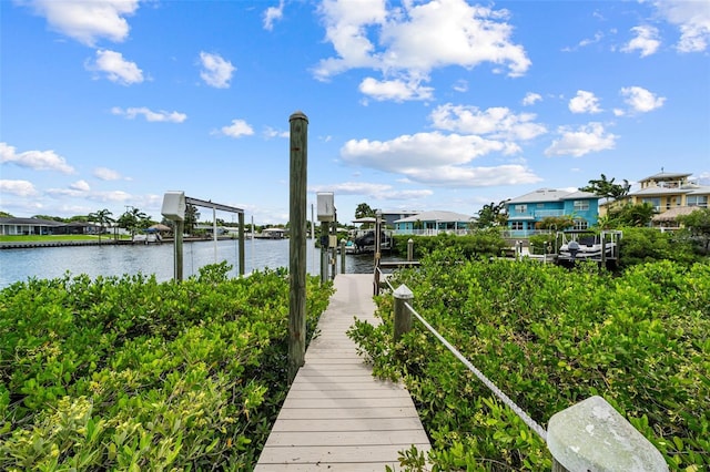 dock area with a water view